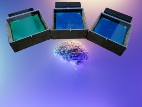 253159309_426425615771450_3827401387638178696_n